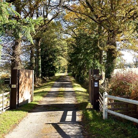 La Ferme De Pomereix Le Dorat Extérieur photo