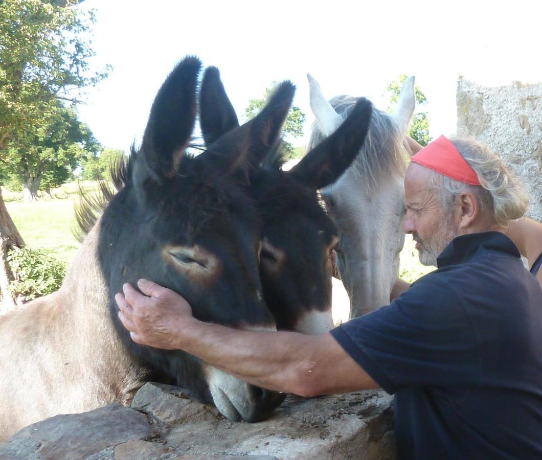 La Ferme De Pomereix Le Dorat Extérieur photo